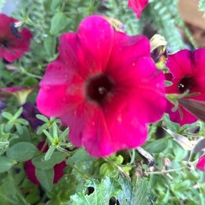 Meet your Posher, Kaitlyn